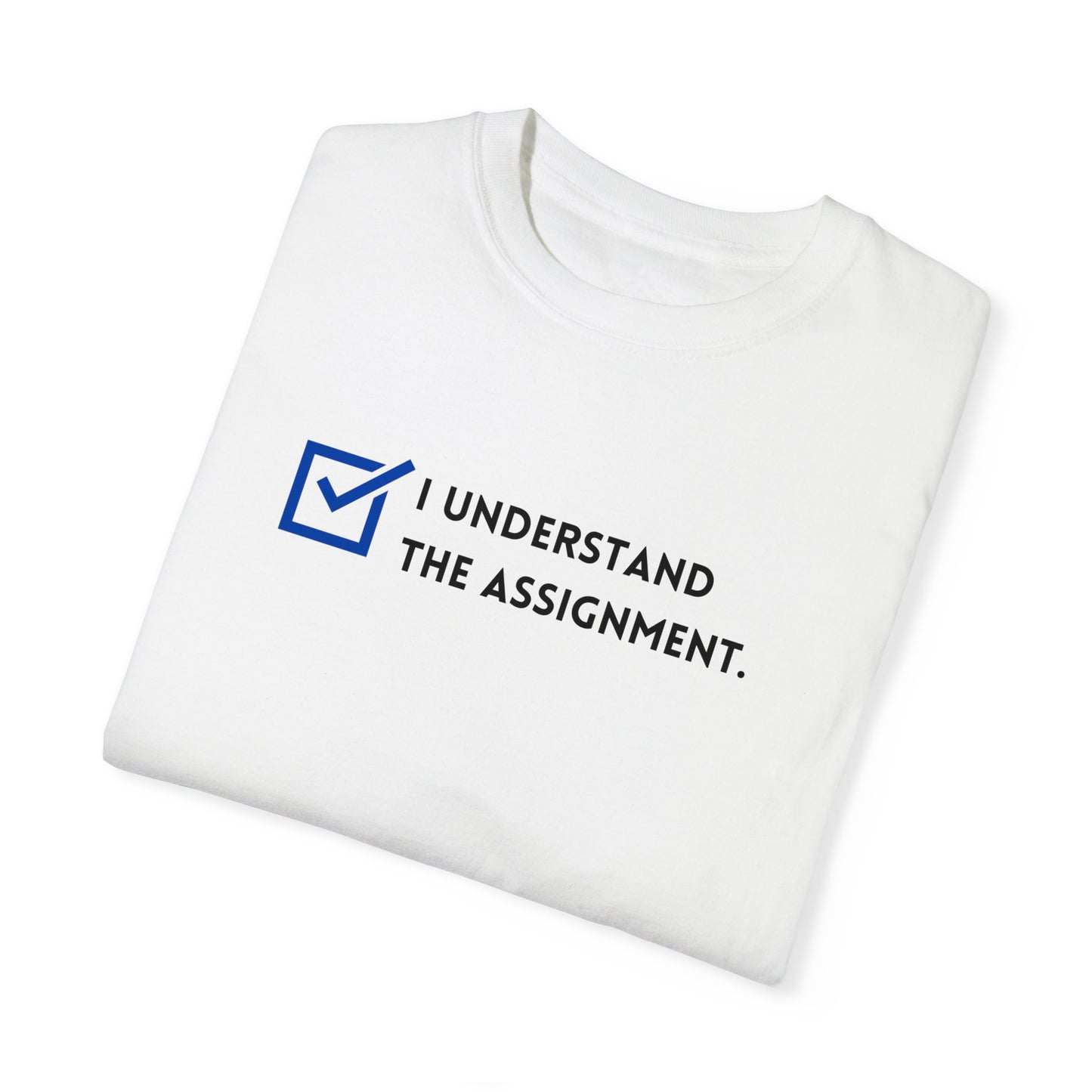 I Understand the Assignment - Adult Unisex Garment-Dyed T-shirt